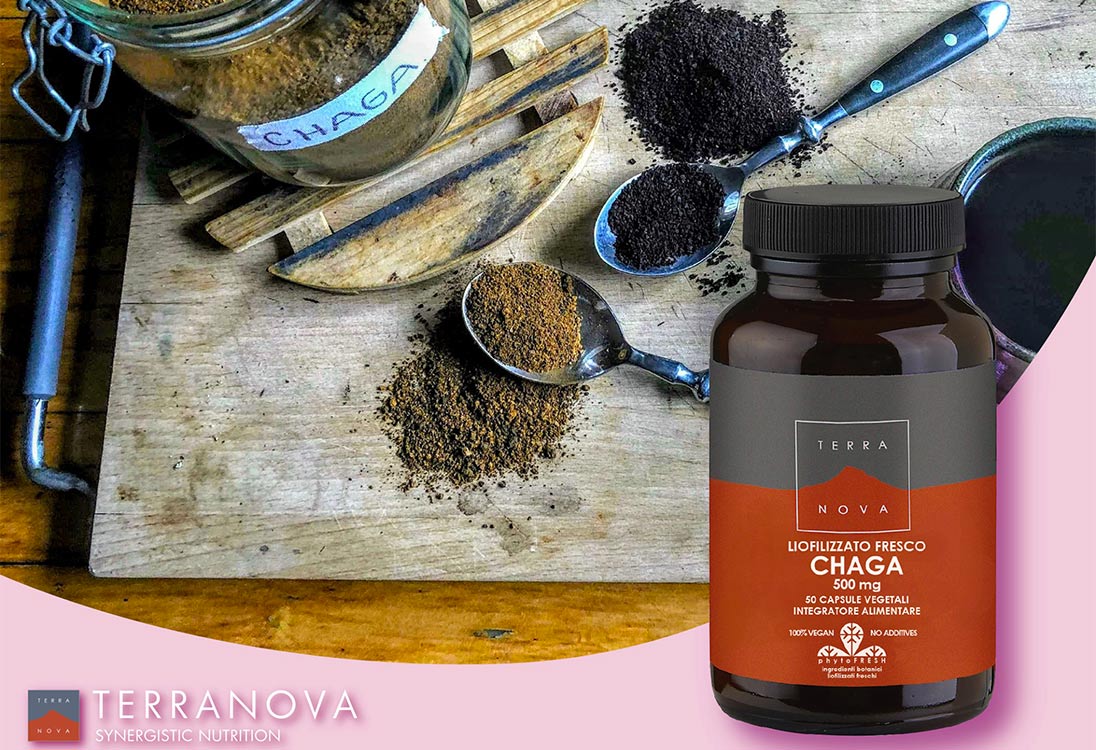 chaga terranova