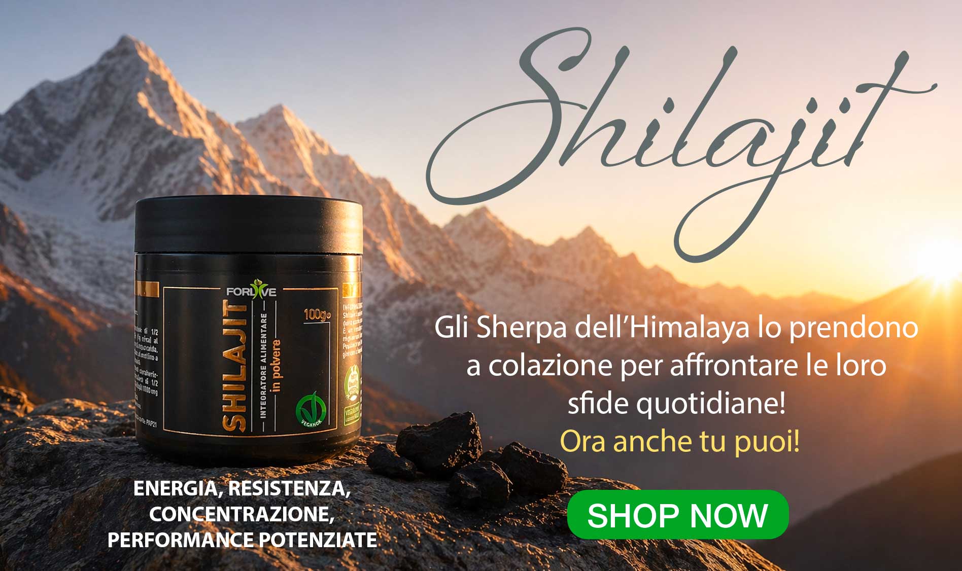 shilajit 100 gr forlive
