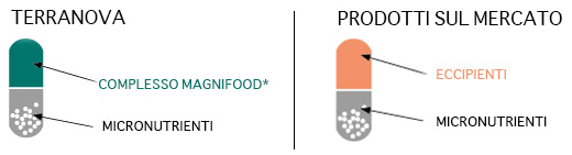 terranova priva di eccipienti nocivi