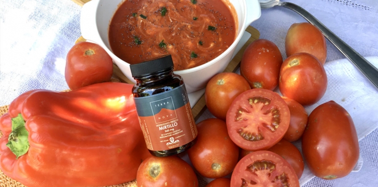 Zuppa di Pomodori Peperoni rossi e Mirtillo