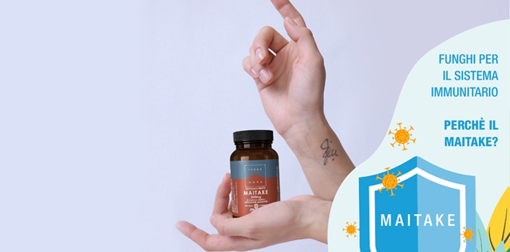 Funghi per aiutare il Sistema Immunitario? Come agiscono