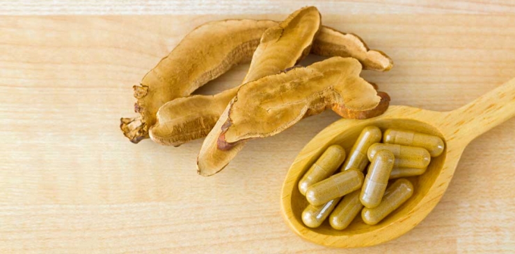 Le straordinarie proprietà dei funghi