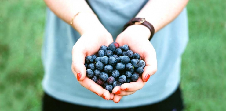  I benefici del Mirtillo