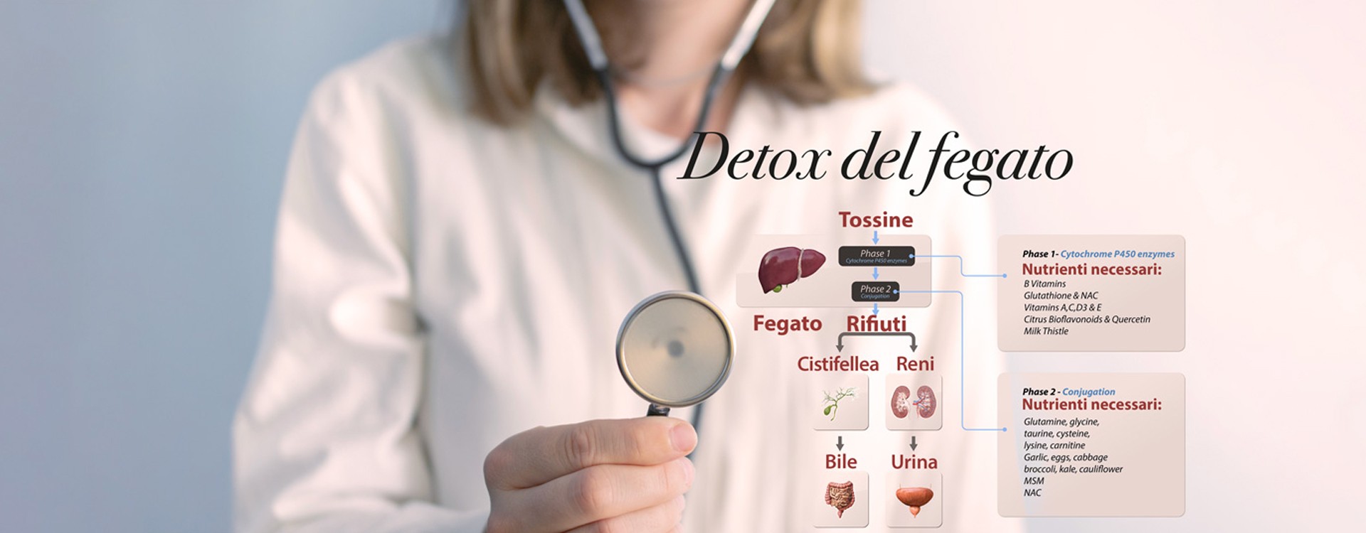 DETOX intelligente? Inizia dal tuo fegato.