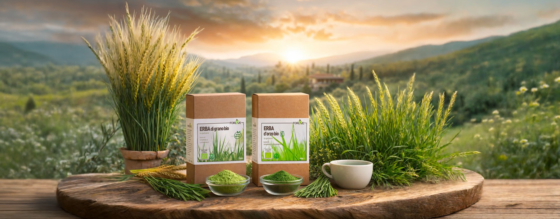 Il verde che rigenera