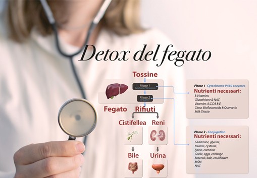 DETOX intelligente? Inizia dal tuo fegato.