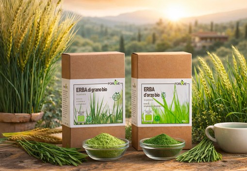 Il verde che rigenera