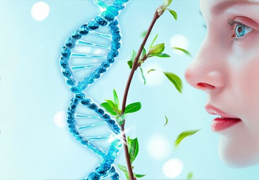 Età Cronologica ed Età Biologica