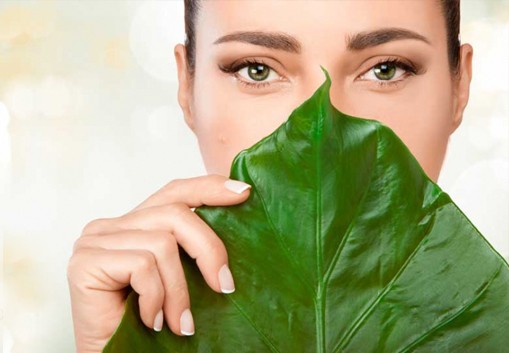 Vegetale, efficace, sostenibile, il futuro della bellezza è qui