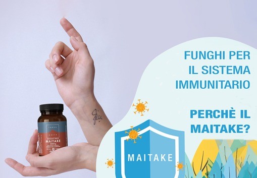 Funghi per aiutare il Sistema Immunitario? Come agiscono